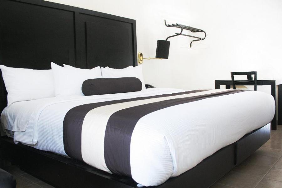 Hotel El Camino Inn & Suites Reynosa Exteriör bild